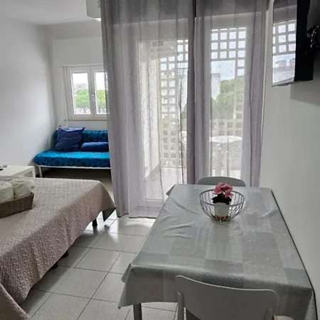 Celeste 511